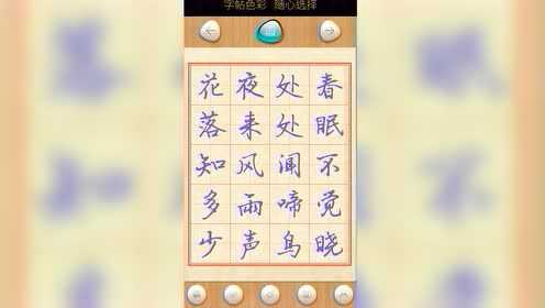 大书法家